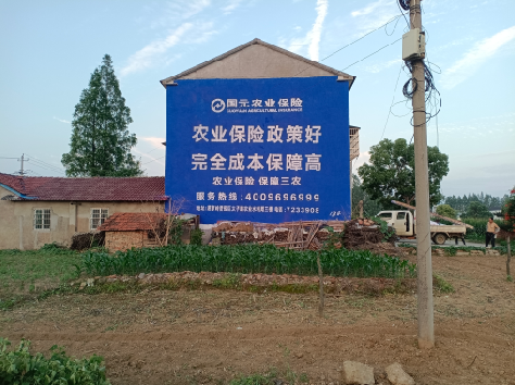 雅安墙体广告的优劣势你知道吗？