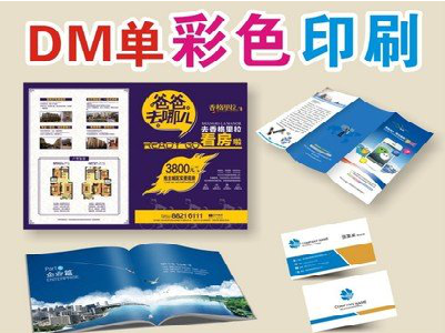 雅安单页印刷，色彩搭配简单。